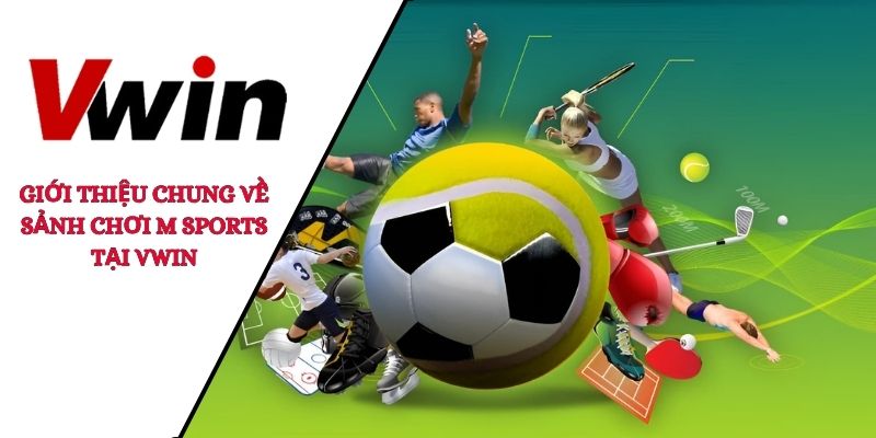 M Sports