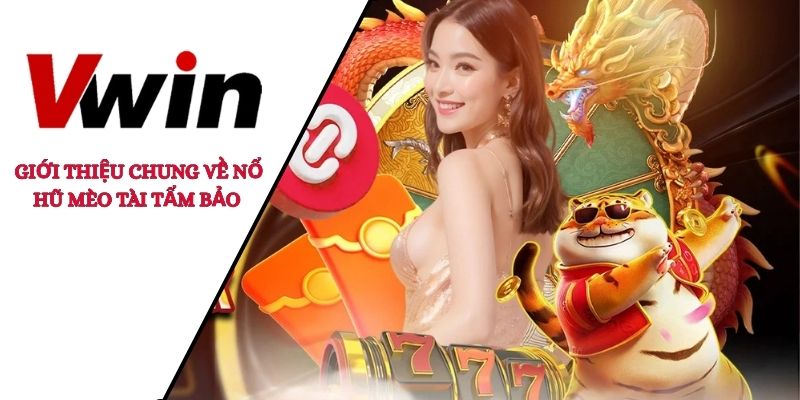 mèo tài tẩm bảo 
