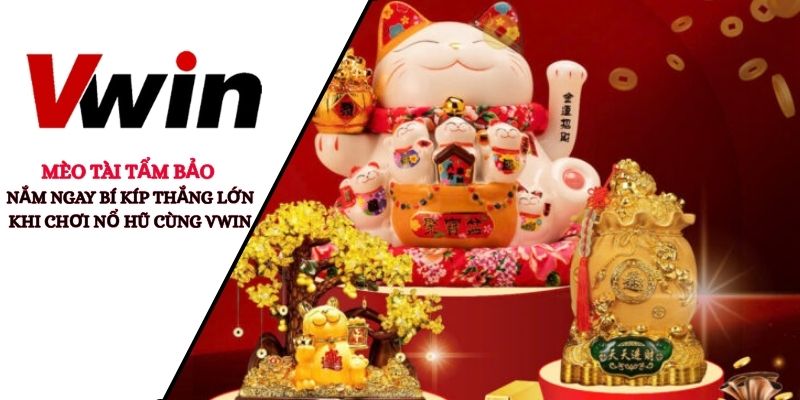 Mèo Tài Tẩm Bảo